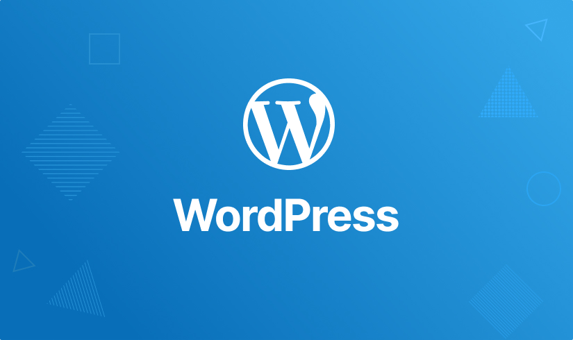 WordPress: complete WordPress theme & plugin development – Premium ...