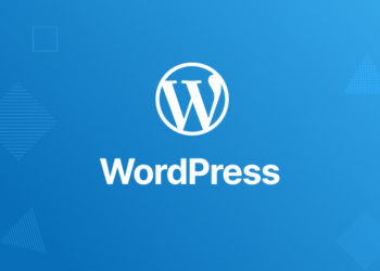 WordPress: complete theme & plugin development